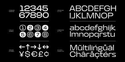 Roda Sans Font Poster 14