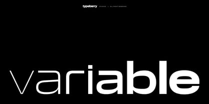 Roda Sans Font Poster 5