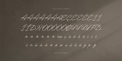 Theyladia Font Poster 11