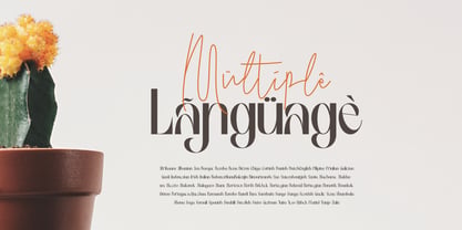 Birletus Display Font Poster 4