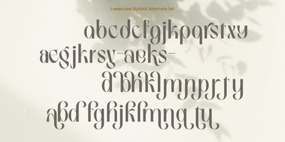 Birletus Display Font Poster 11