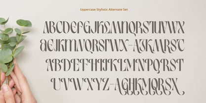Birletus Display Font Poster 9