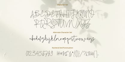 Birletus Display Font Poster 10