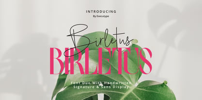 Birletus Display Font Poster 1