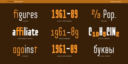 Checkpoint Font Poster 9