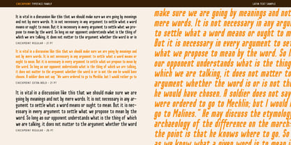 Checkpoint Font Poster 6