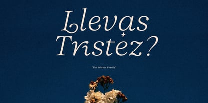 Solance Serif Italic Font Poster 6