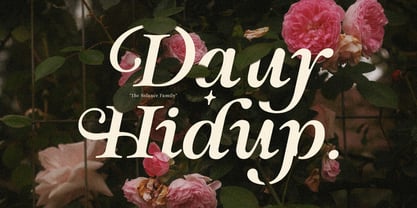 Solance Serif Italic Font Poster 2