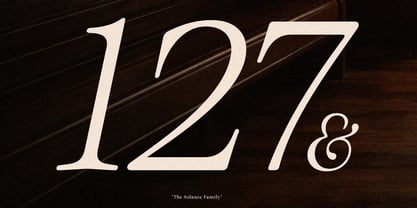 Solance Serif Italic Font Poster 9