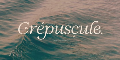 Solance Serif Italic Font Poster 8