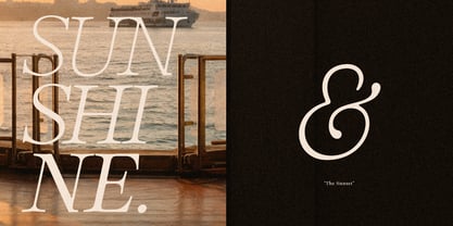 Solance Serif Italic Font Poster 10