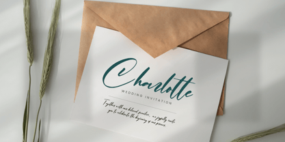 Betaline Font | Webfont & Desktop | MyFonts