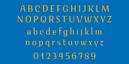 Voltava Sans Font Poster 11