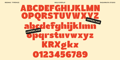 Regnas Font Poster 8