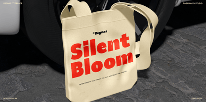 Regnas Font Poster 10