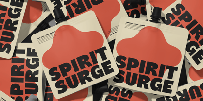Regnas Font Poster 4