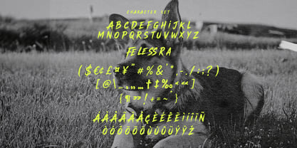 Cindigo Trades Font Poster 6