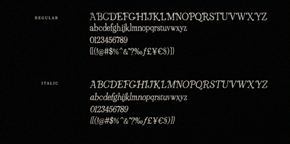Casoria Serif Font Poster 7