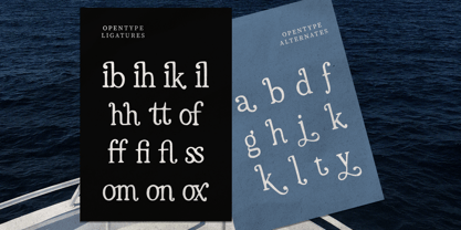 Casoria Serif Font Poster 12