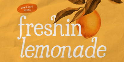Casoria Serif Font Poster 10