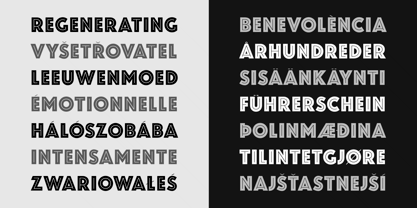 Zamenhof Font Poster 6