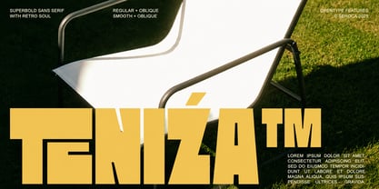 Seroca Font Poster 5