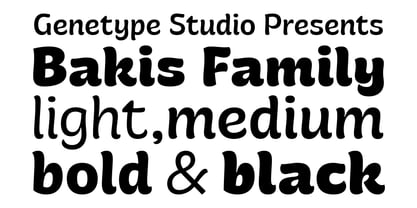 Bakis Font Poster 2