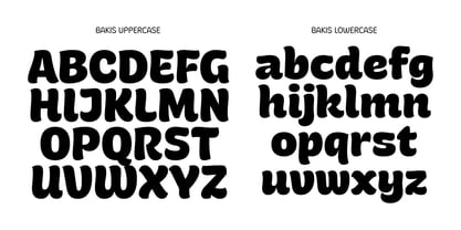 Bakis Font Poster 8