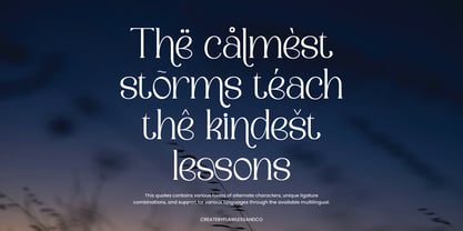 Camosta Font Poster 10