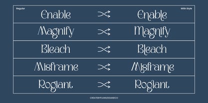 Camosta Font Poster 6