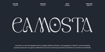 Camosta Font Poster 1
