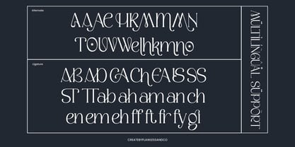 Camosta Font Poster 9