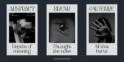 Camosta Font Poster 5