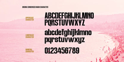 Bronk Condensed Font Poster 2