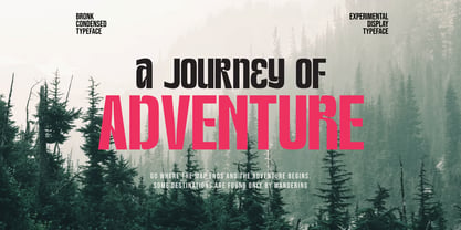 Bronk Condensed Font Poster 8