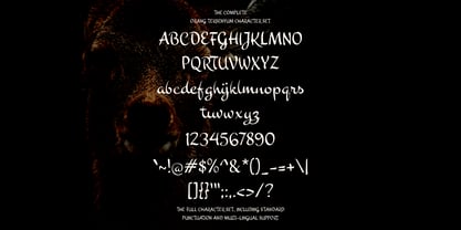 Orang Tersenyum Script Font Poster 5
