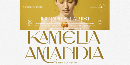 Kemical Font Poster 5