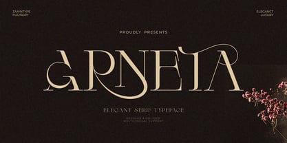 Arneta Font Poster 1