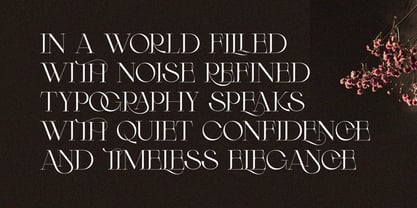 Arneta Font Poster 7