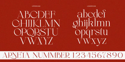 Arneta Font Poster 9