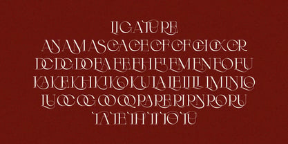 Arneta Font Poster 5
