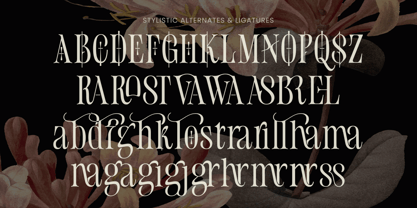 Grostel Font Poster 12