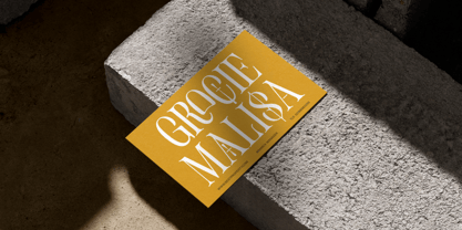 Grostel Font Poster 6