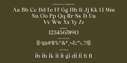 Canilera Font Poster 10