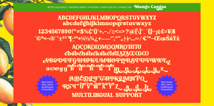 Mango Camise Font Poster 9