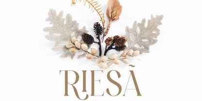 Lofset Font Poster 7