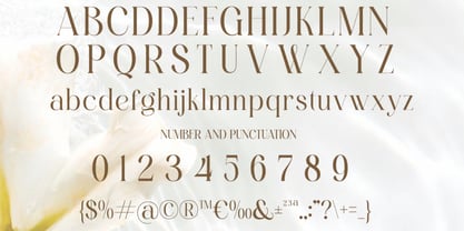 Lofset Font Poster 8