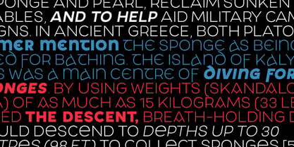 Arvor Font Poster 9