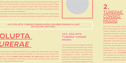 Arvor Font Poster 11