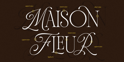 Daviena Mediva Font Poster 9